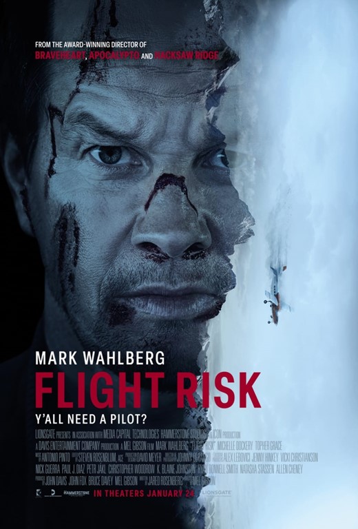 Imagem Ponto de Interesse - Flightrisk